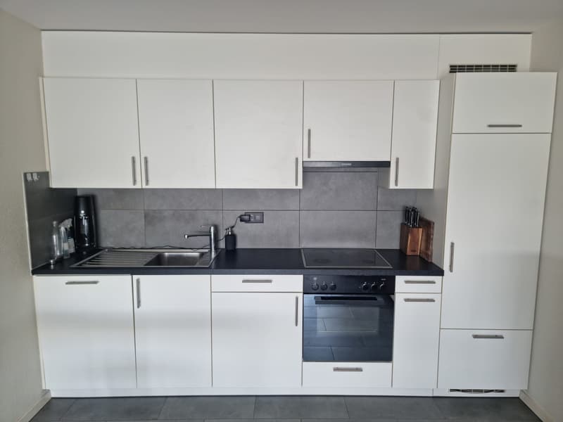 2 ½ rooms apartment, 1022 Chavannes-près-Renens (2)