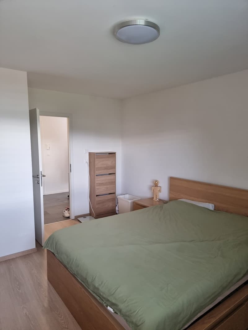 2 ½ rooms apartment, 1022 Chavannes-près-Renens (10)