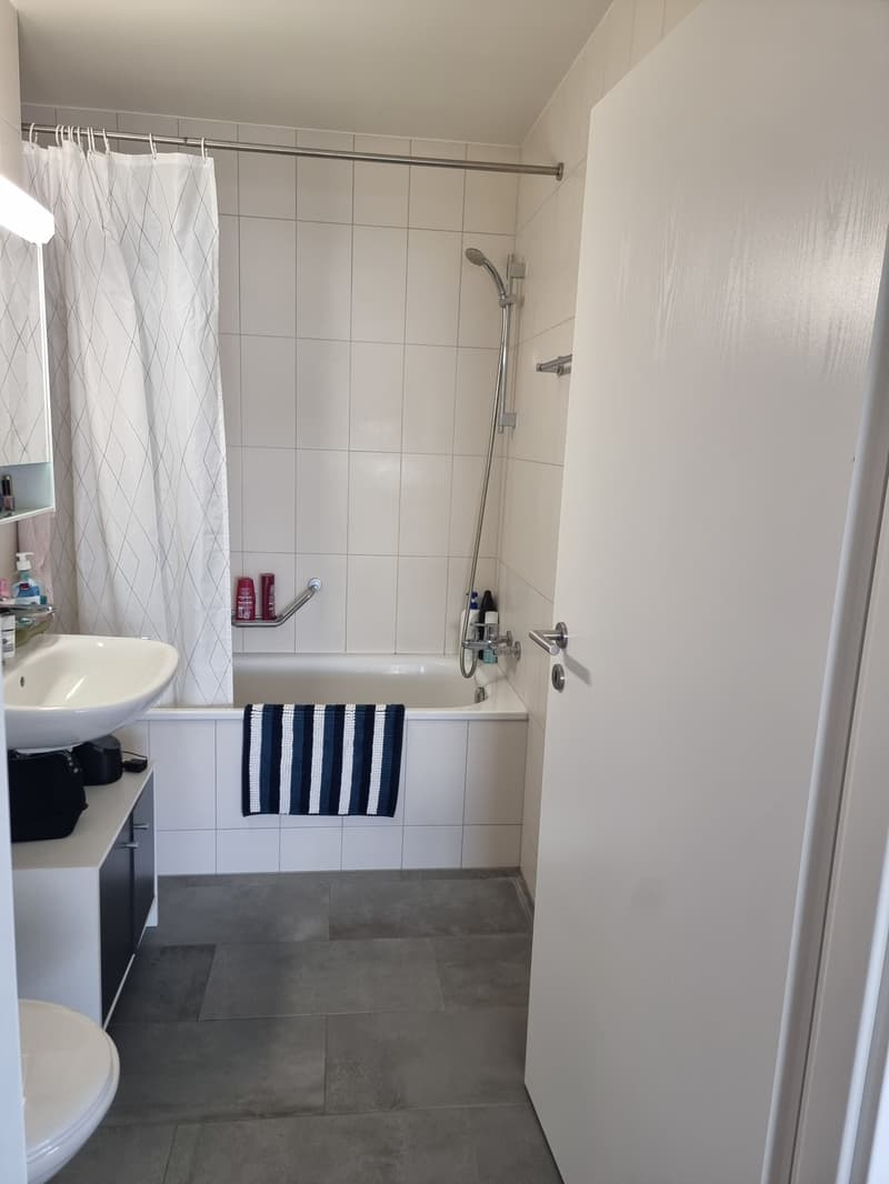 2 ½ rooms apartment, 1022 Chavannes-près-Renens (7)