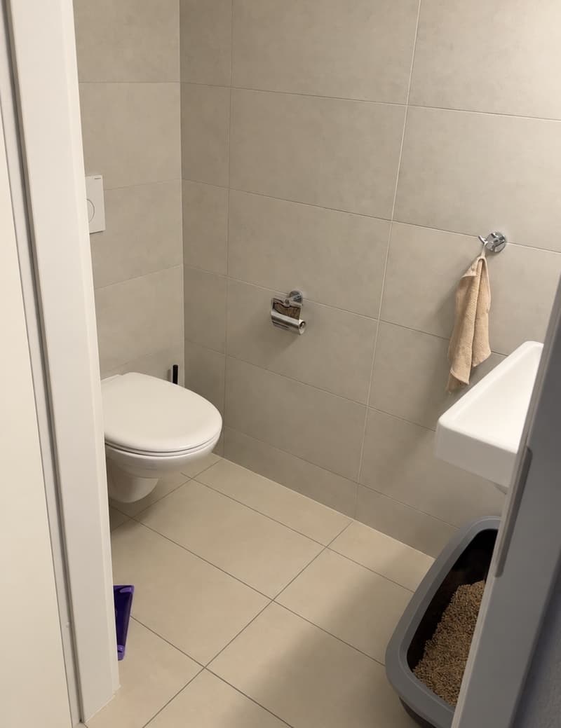 Appartement 2 ½ pièces, 1055 Froideville (2)