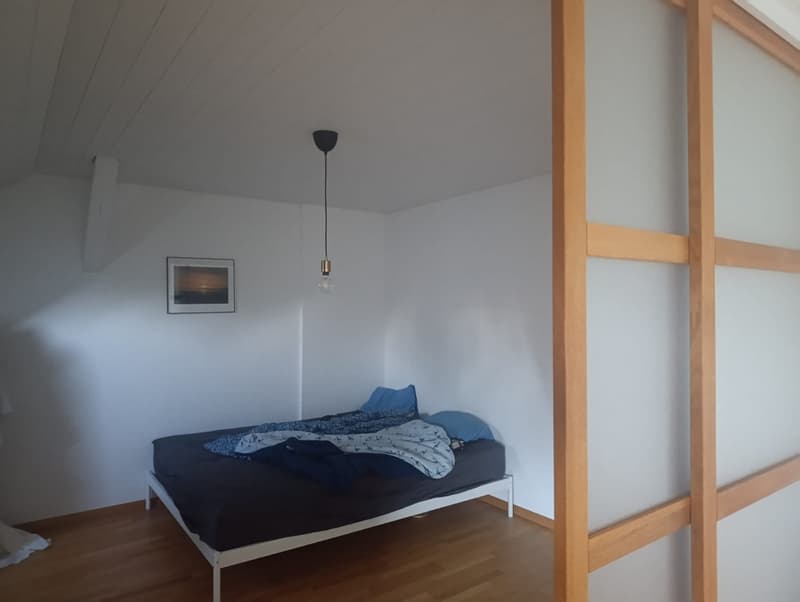 2 Zimmer Dachgeschoss (4)