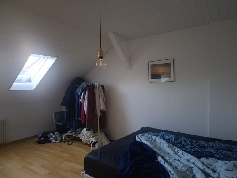 2 Zimmer Dachgeschoss (8)