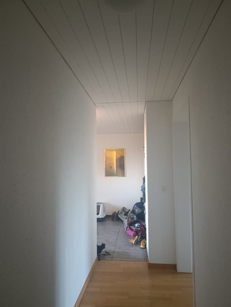 2 Zimmer Dachgeschoss (2)