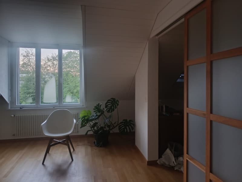 2 Zimmer Dachgeschoss (6)