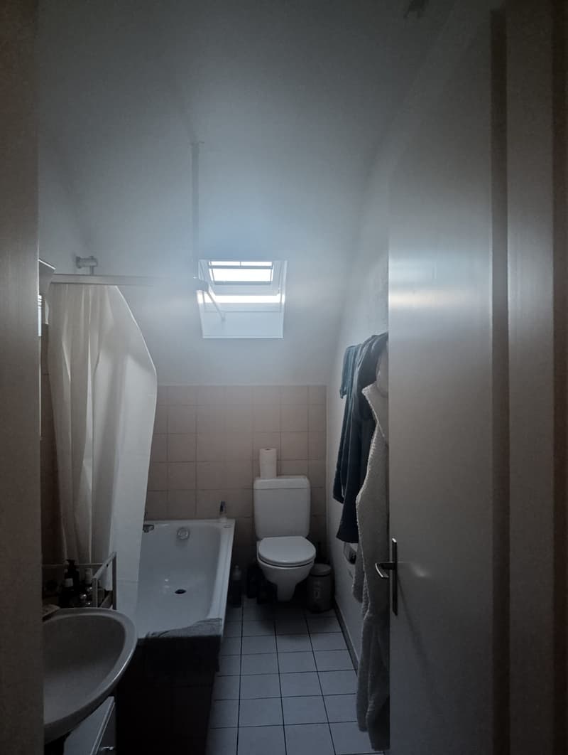 2 Zimmer Dachgeschoss (7)