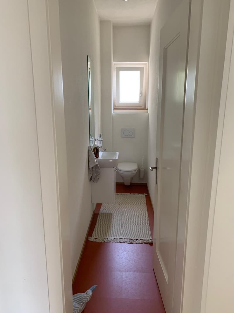 Tolle Jugendstilwohnung im Herzen von Küsnacht (4)