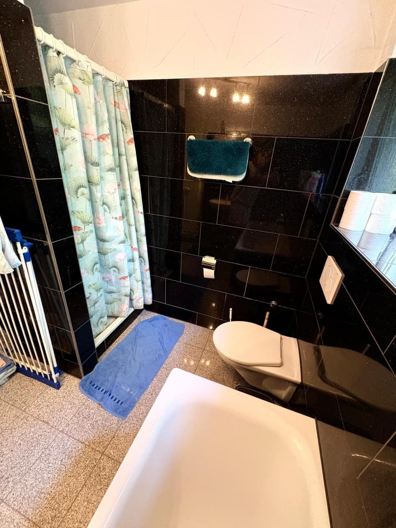 Winterthur Room for Rent (5)