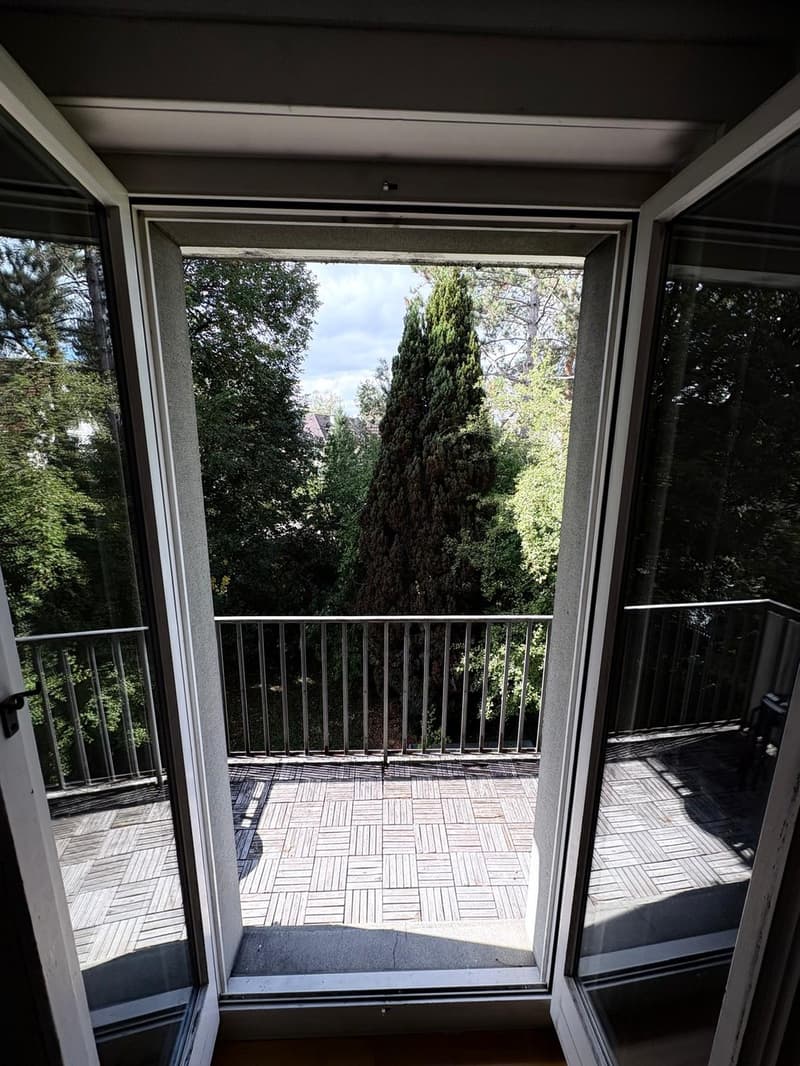 Winterthur Room for Rent (6)
