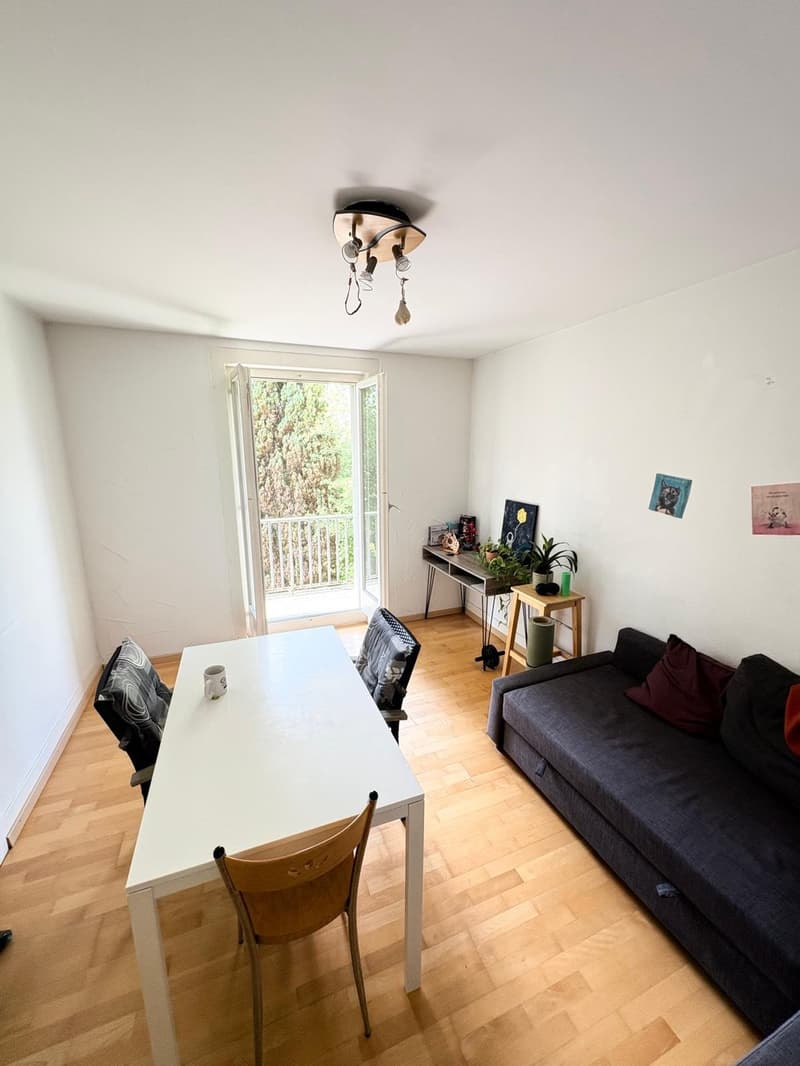 Winterthur Room for Rent (4)