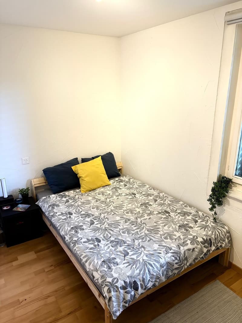 Winterthur Room for Rent (1)