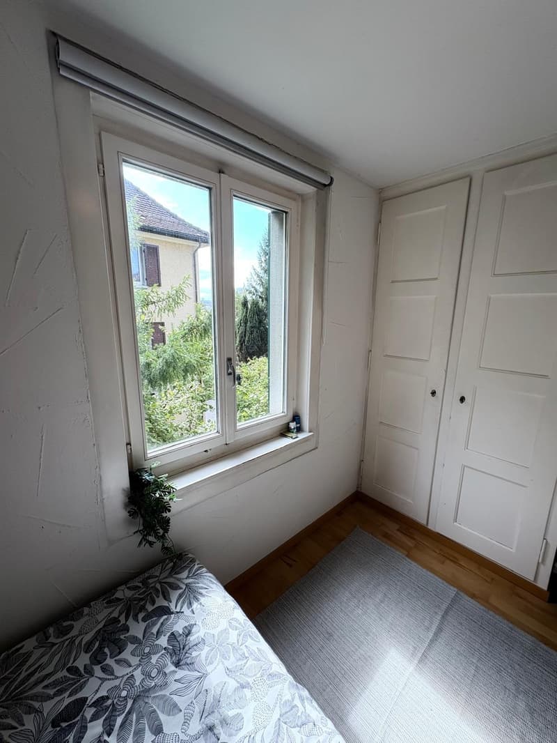 Winterthur Room for Rent (2)
