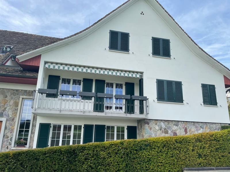 4.5 Zimmer Wohnung / Haushälfte in Meilen (2)