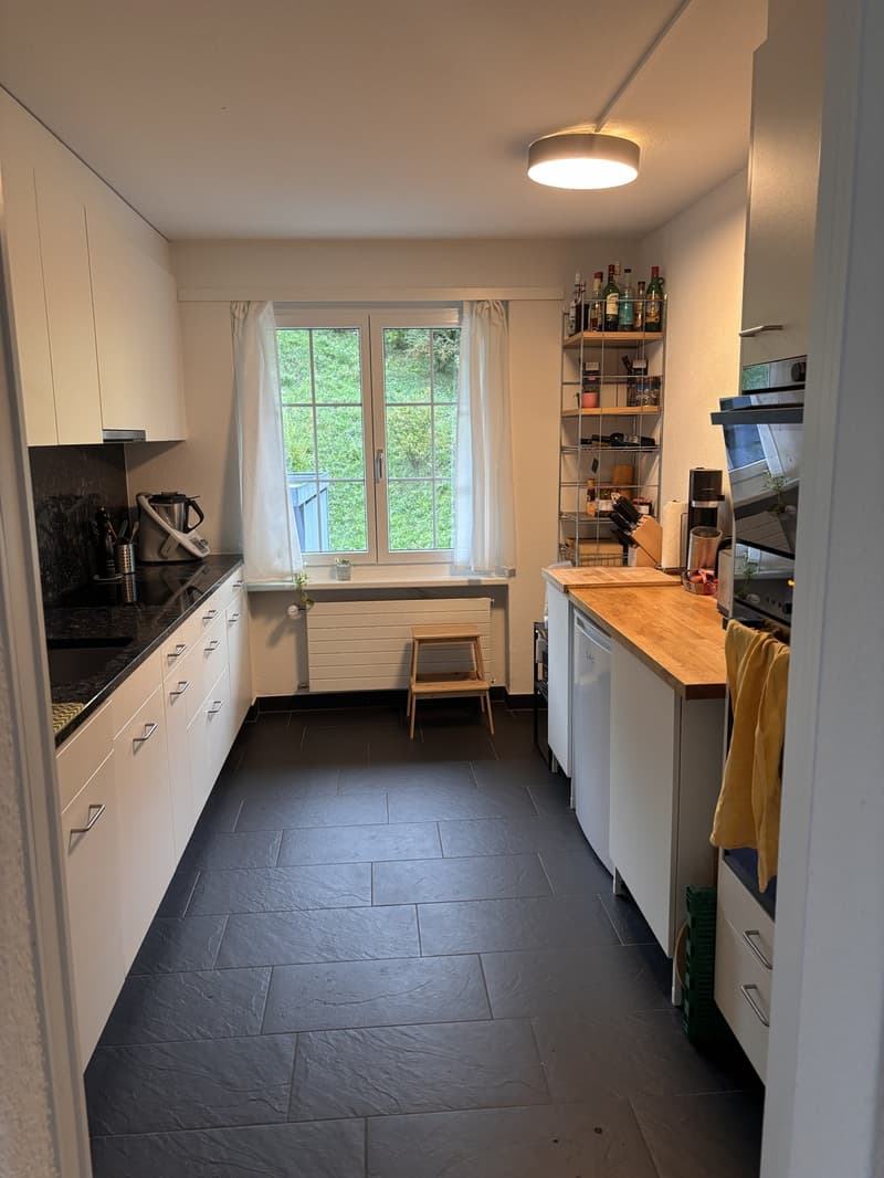 4.5 Zimmer Wohnung / Haushälfte in Meilen (4)