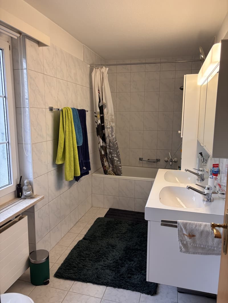 4.5 Zimmer Wohnung / Haushälfte in Meilen (6)