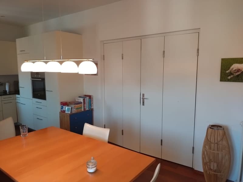 Grosszügige 3.5-Zimmerwohnung mit Dachterrasse in Zürich zu vermieten (4)