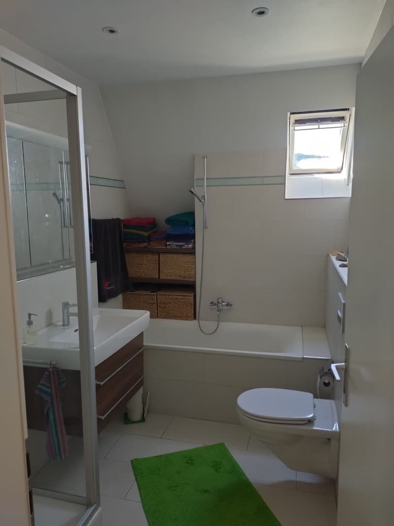 Grosszügige 3.5-Zimmerwohnung mit Dachterrasse in Zürich zu vermieten (5)