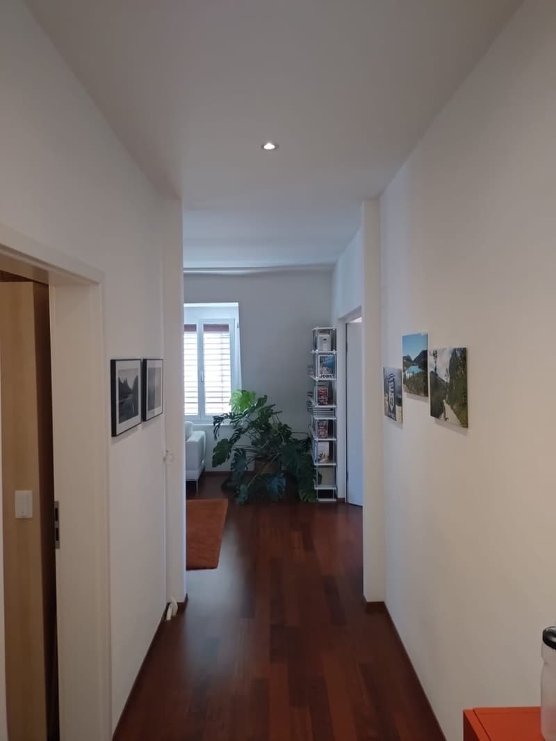 Grosszügige 3.5-Zimmerwohnung mit Dachterrasse in Zürich zu vermieten (8)