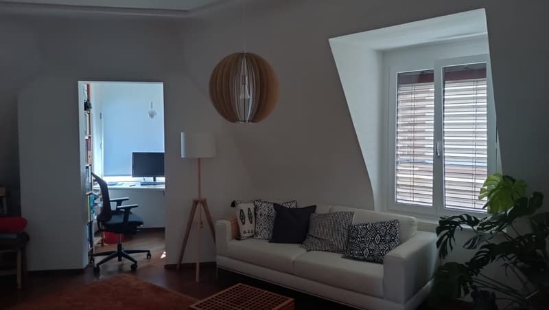 Grosszügige 3.5-Zimmerwohnung mit Dachterrasse in Zürich zu vermieten (1)