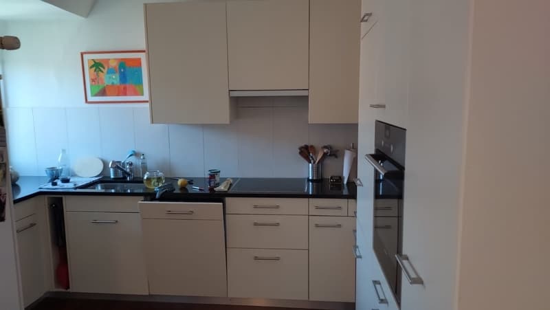 Grosszügige 3.5-Zimmerwohnung mit Dachterrasse in Zürich zu vermieten (3)