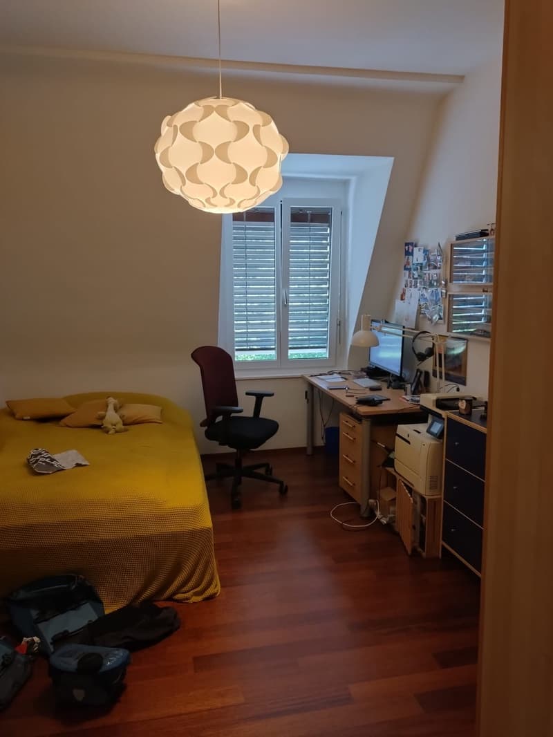 Grosszügige 3.5-Zimmerwohnung mit Dachterrasse in Zürich zu vermieten (6)