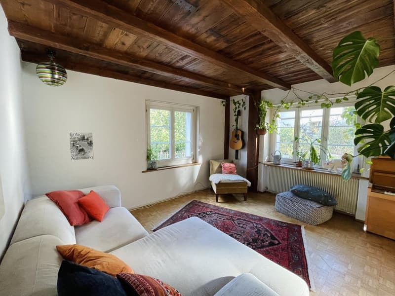 WG-Zimmer zur Untermiete, Nähe Zürich (7)