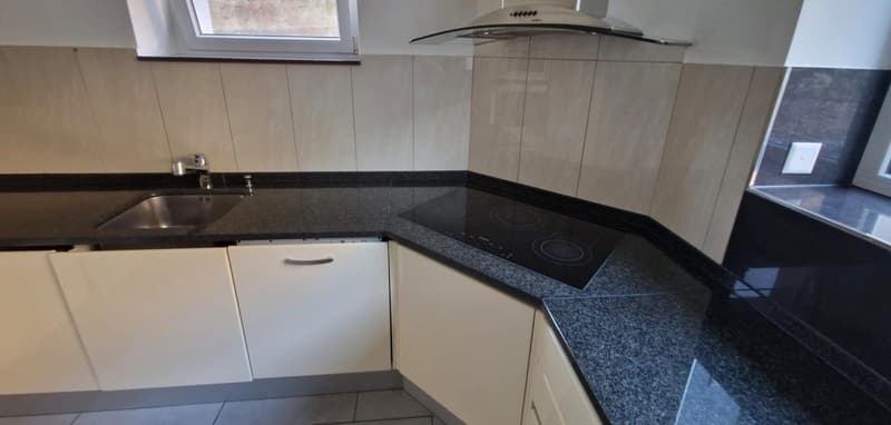 1.5 Zimmer Apartment zu vermieten (3)