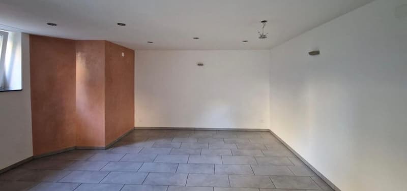 1.5 Zimmer Apartment zu vermieten (5)
