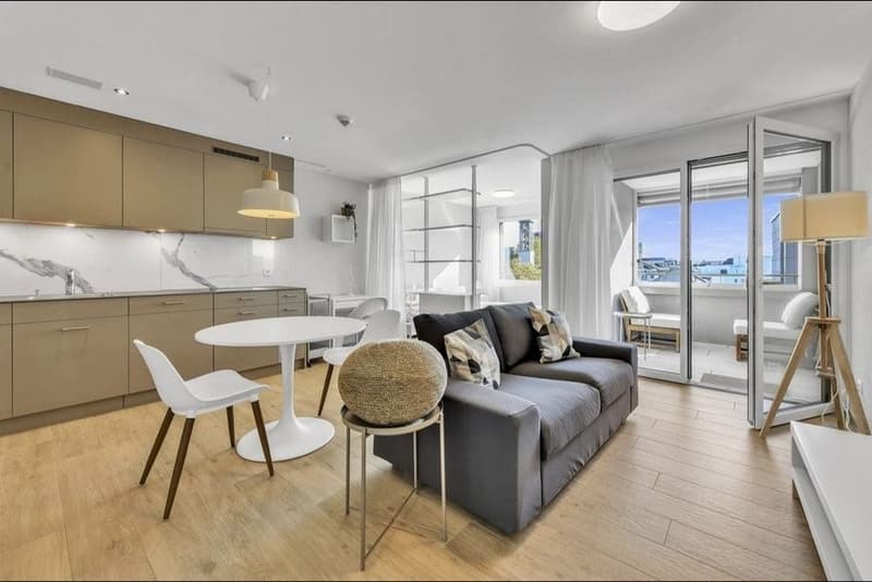 1 ½ Zimmer-Wohnung, 8212 Neuhausen (4)