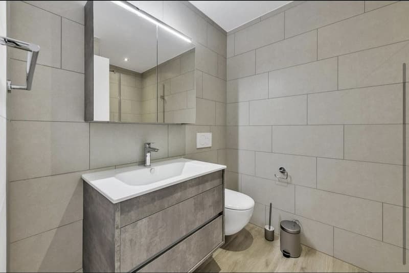 1 ½ Zimmer-Wohnung, 8212 Neuhausen (2)