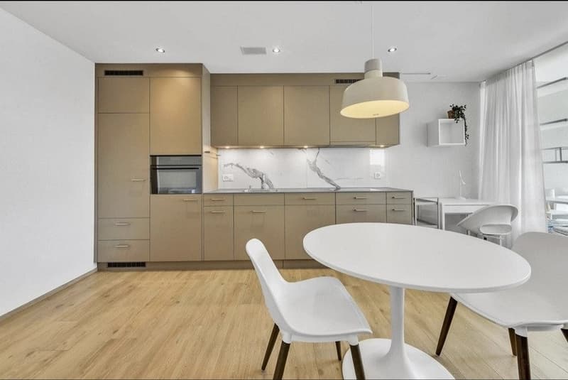 1 ½ Zimmer-Wohnung, 8212 Neuhausen (1)