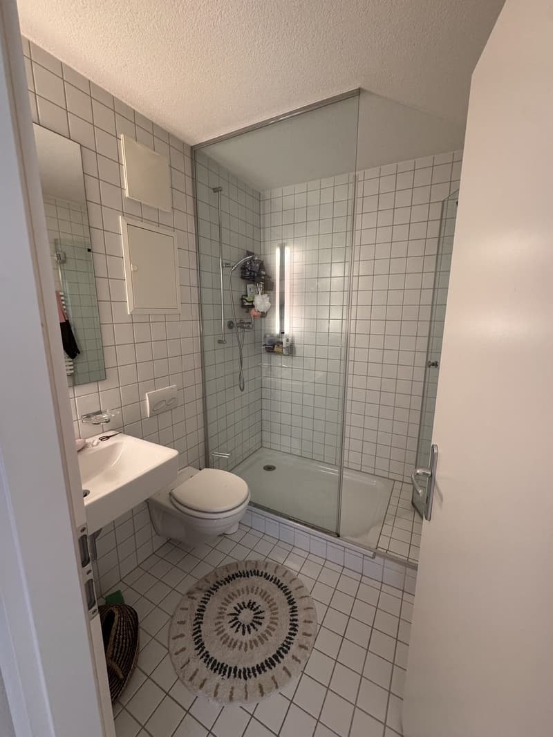 Möblierte 3.5-Zimmer-Wohnung mit Seesicht in Thalwil (9)