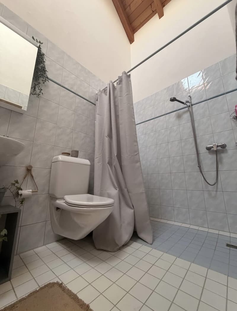 Schöne 2,5 - Zimmer Wohnung in Neuhaus SG (9)