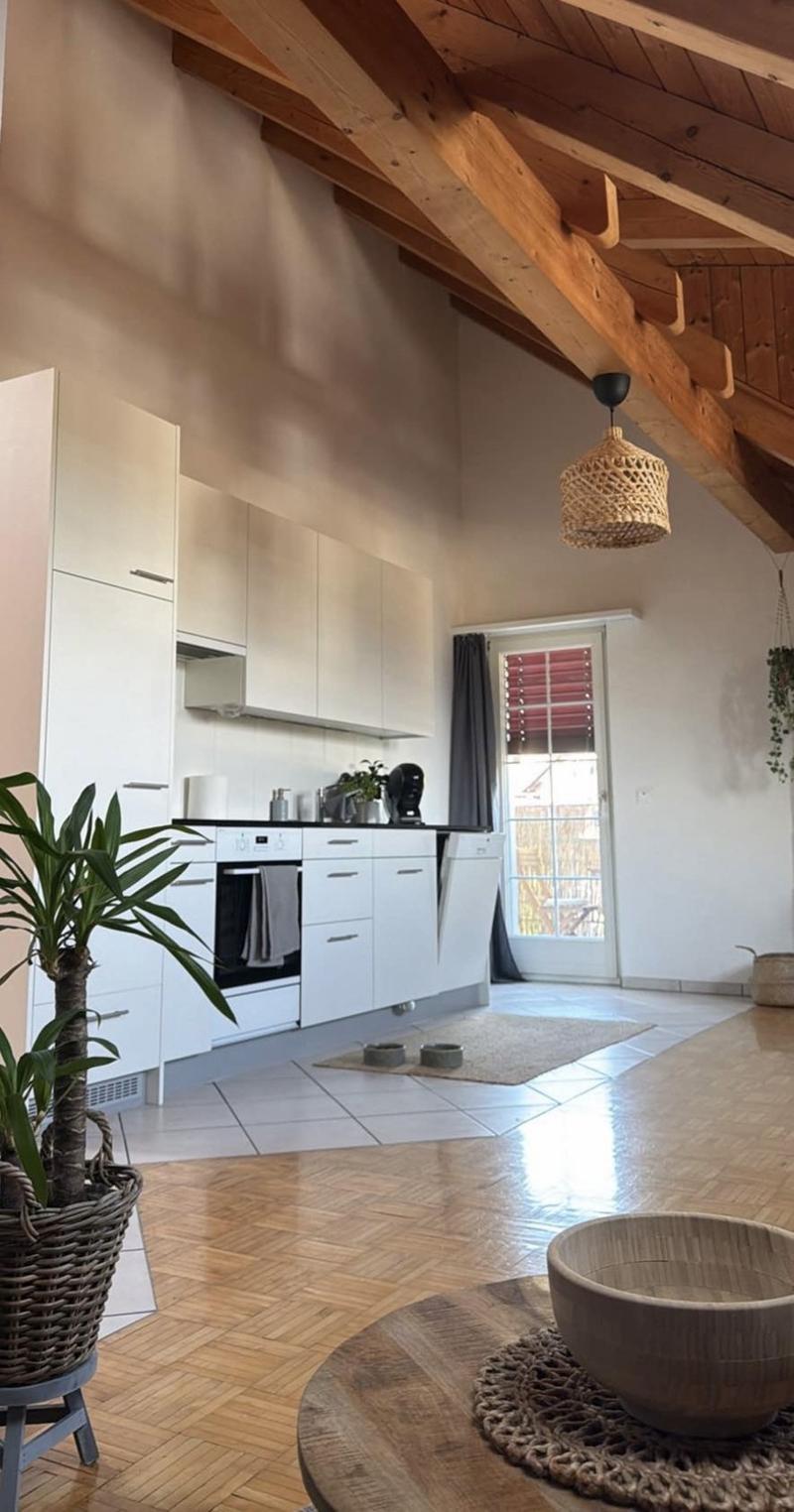 Schöne 2,5 - Zimmer Wohnung in Neuhaus SG (1)