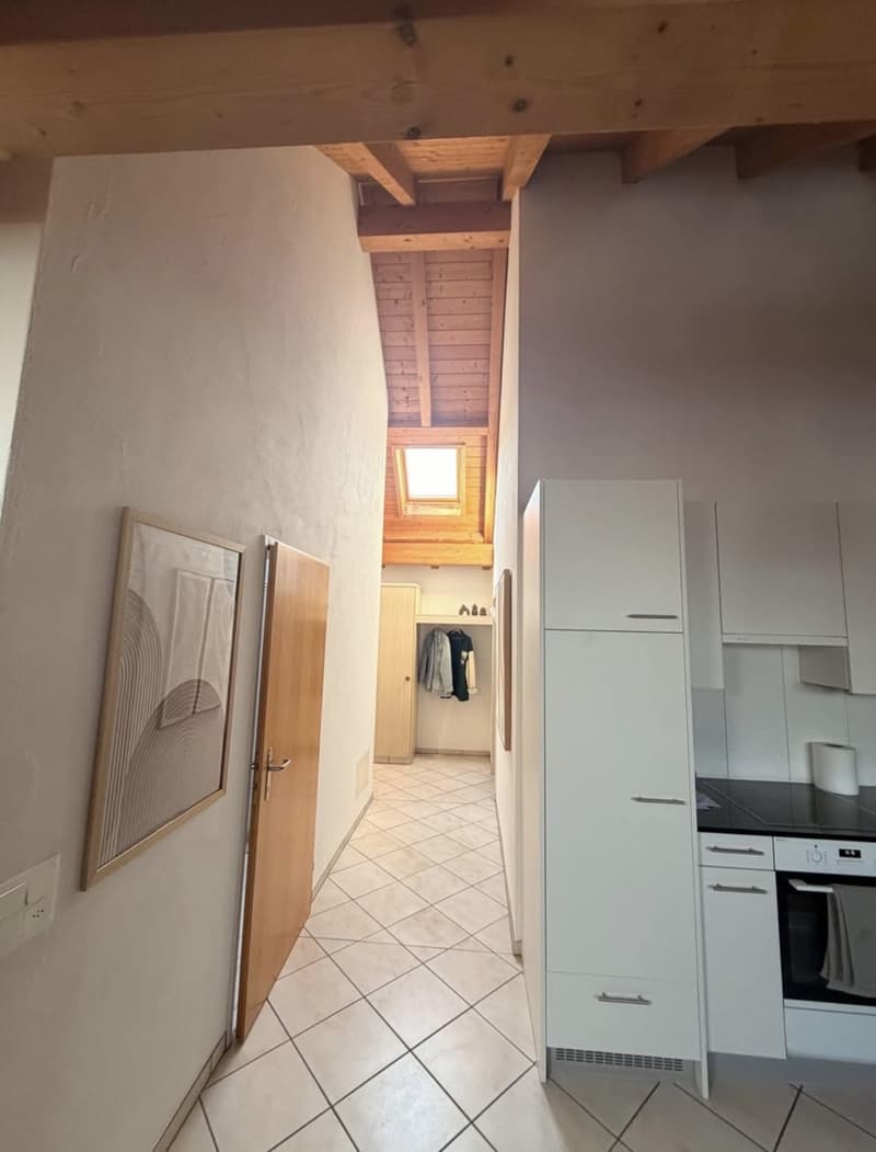 Schöne 2,5 - Zimmer Wohnung in Neuhaus SG (7)