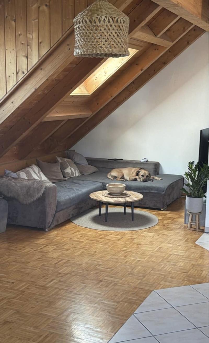 Schöne 2,5 - Zimmer Wohnung in Neuhaus SG (4)