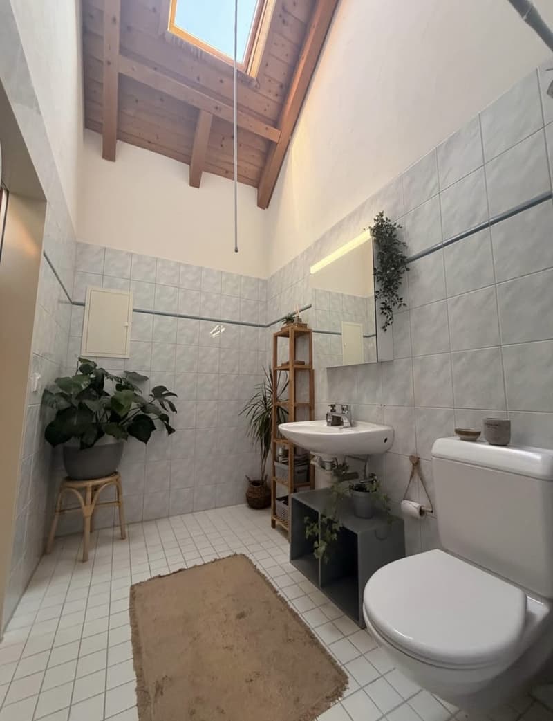 Schöne 2,5 - Zimmer Wohnung in Neuhaus SG (8)