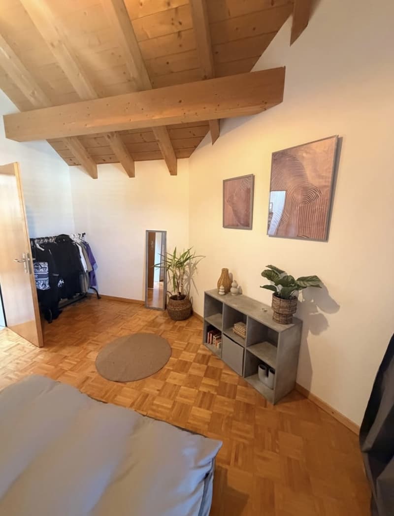 Schöne 2,5 - Zimmer Wohnung in Neuhaus SG (6)