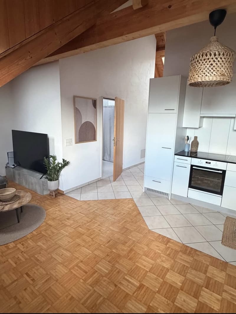 Schöne 2,5 - Zimmer Wohnung in Neuhaus SG (2)