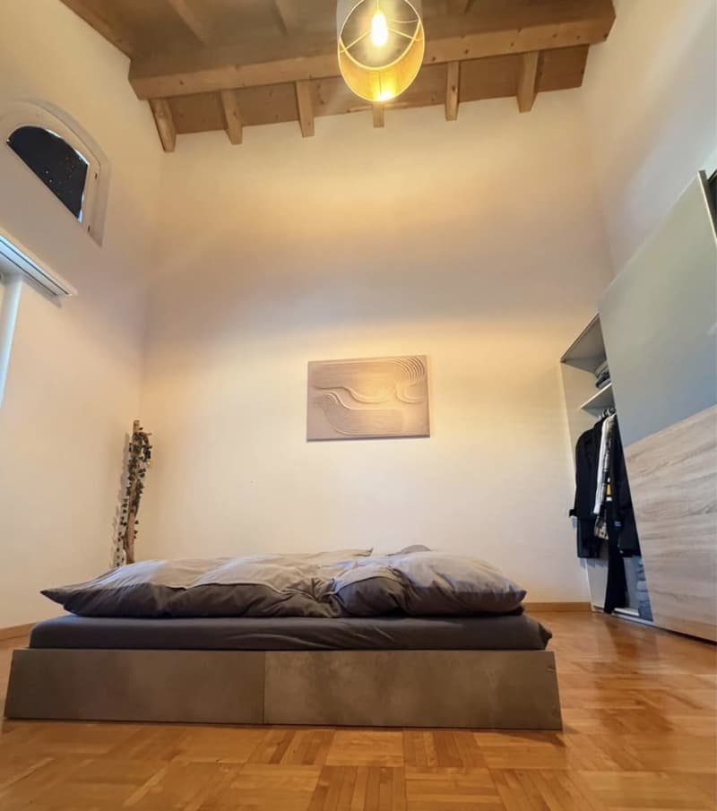 Schöne 2,5 - Zimmer Wohnung in Neuhaus SG (5)