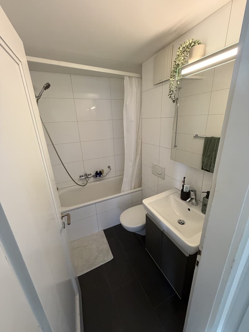 Nachmieter/in gesucht: 2-Zimmer-Wohnung an der Länggassstrasse 54, 3012 Bern (6)