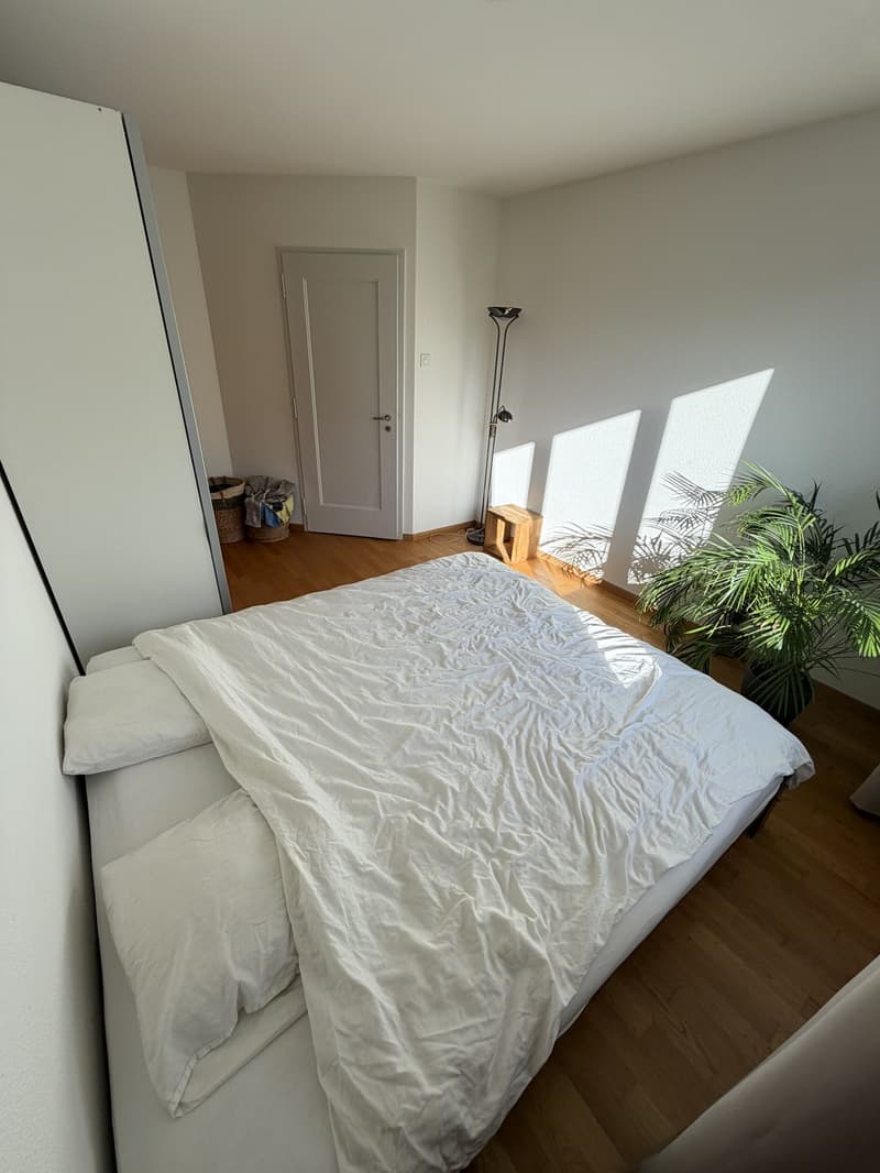 Nachmieter/in gesucht: 2-Zimmer-Wohnung an der Länggassstrasse 54, 3012 Bern (2)