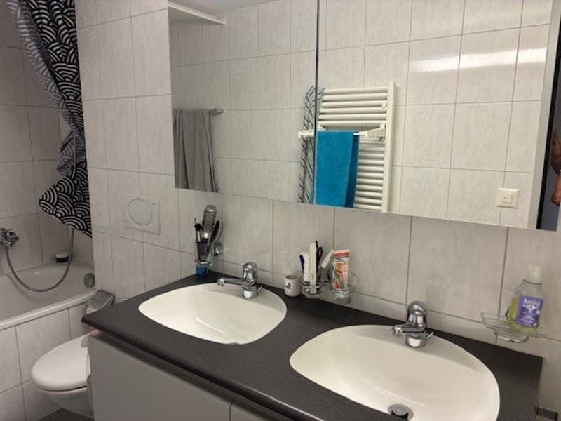 3.5 Zimmerwohnung mit Sicht auf Stadt und Natur (6)