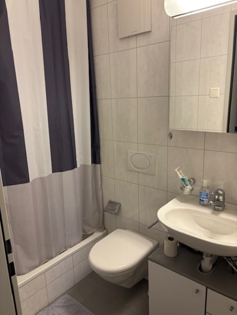 3.5 Zimmerwohnung mit Sicht auf Stadt und Natur (7)