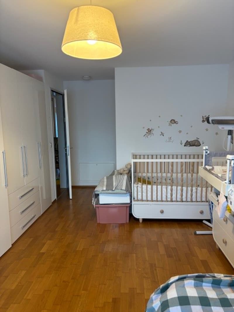 3.5 Zimmerwohnung mit Sicht auf Stadt und Natur (4)