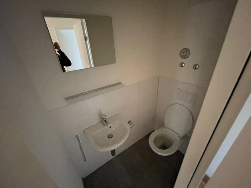 4½-Zimmerwohnung in Zollikerberg zu mieten (9)