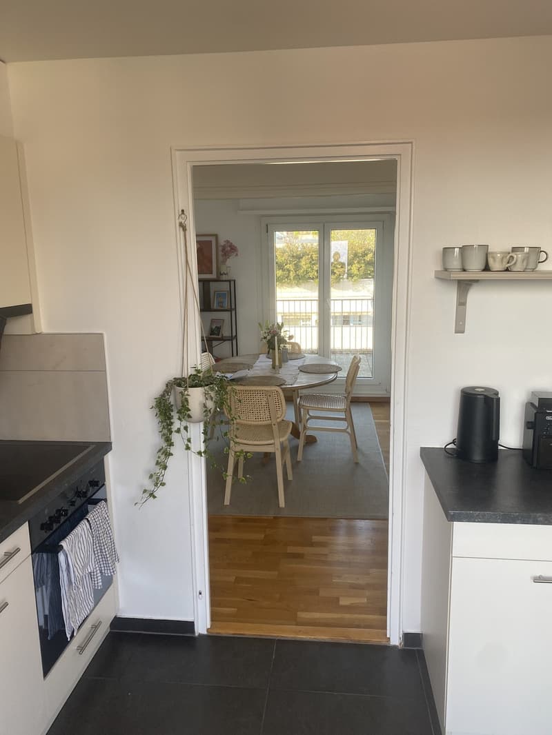 3 ½ rooms apartment, 1004 Lausanne (3)