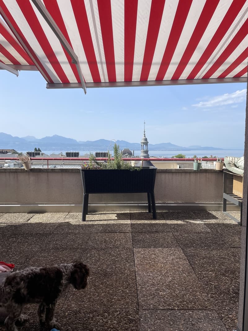 3 ½ rooms apartment, 1004 Lausanne (4)