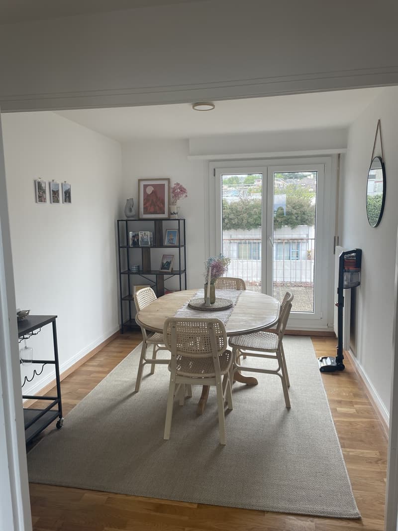 3 ½ rooms apartment, 1004 Lausanne (5)