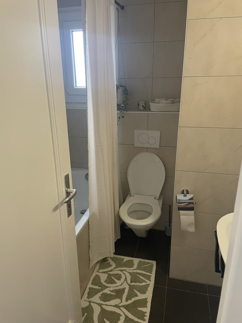 3 ½ rooms apartment, 1004 Lausanne (6)