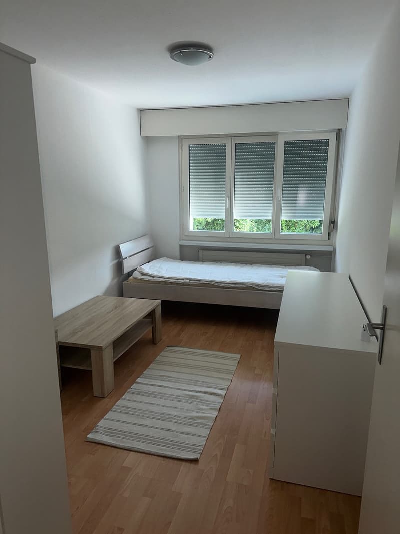 WG Zimmer, 8903 Birmensdorf (3)
